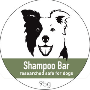 Shampoo Bar